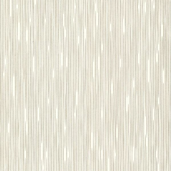 Pilar White Bark Texture