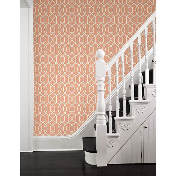 Quantum Coral Trellis  | Brewster Wallcovering - The WorkRm