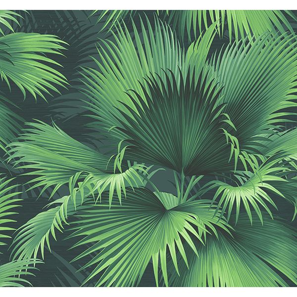 Picture of Endless Summer Dark Green Palm Wallpaper