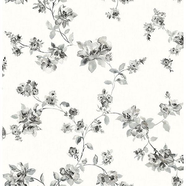 Brewster Wallcovering-Cyrus Black Festive Floral Wallpaper