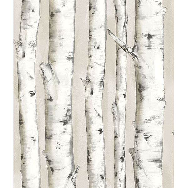 Brewster Wallcovering-Pioneer Off-White Birch Tree Wallpaper