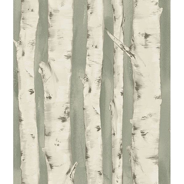 Brewster Wallcovering-Pioneer Sage Birch Tree Wallpaper