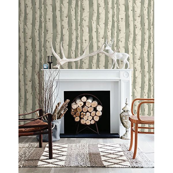 Pioneer Sage Birch Tree Wallpaper  | Brewster Wallcovering - The WorkRm