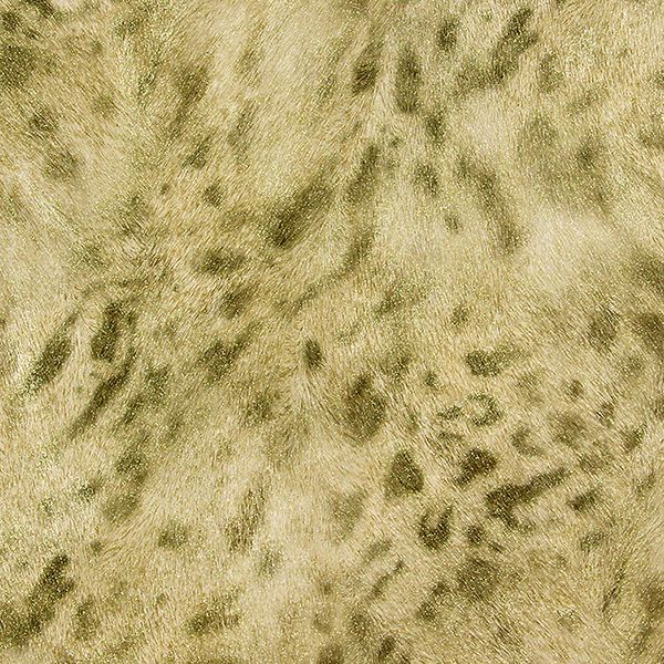 Brewster Wallcovering-Umbria Light Brown Jaguar Wallpaper