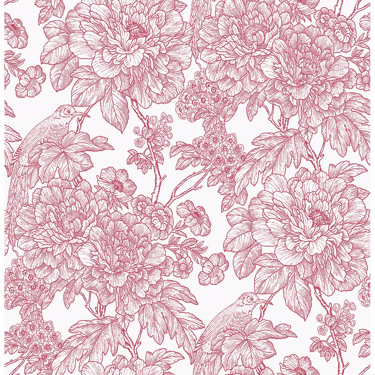 Brewster Wallcovering-Birds of Paradise Breeze Red Floral Wallpaper