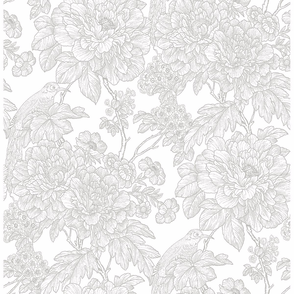 Brewster Wallcovering-Birds of Paradise Breeze Grey Floral Wallpaper