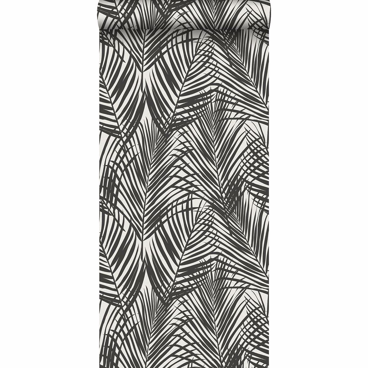 Fifi Black Palm Frond Wallpaper - Brewster Wallcovering