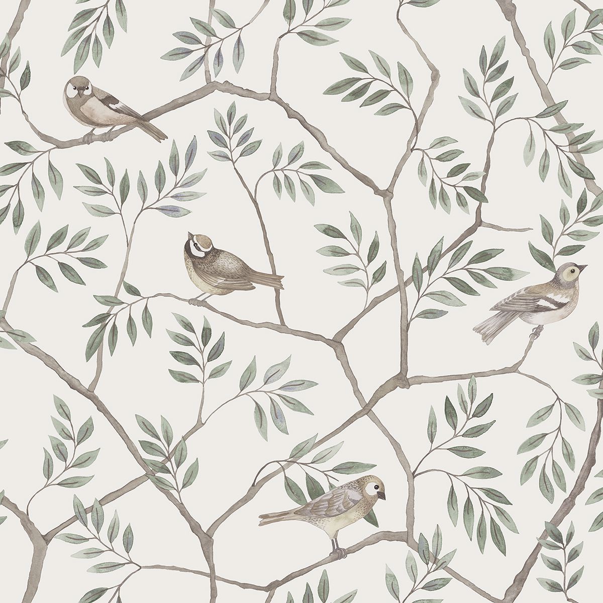 Brewster Wallcovering-Crossbill Off-White Branches Wallpaper