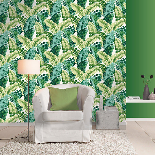 Pisang Green Palm Leaf Wallpaper - Brewster Wallcovering