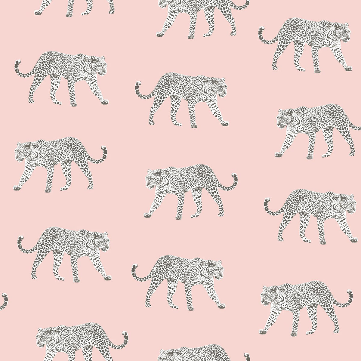 Picture of Prowl Pink Jaguars Wallpaper