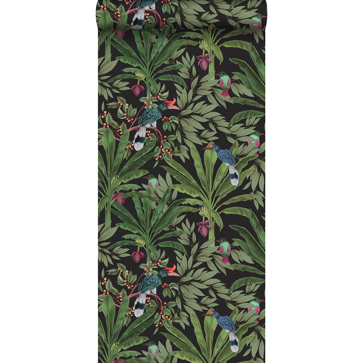 Carola Black Jungle Tropics Wallpaper  | Brewster Wallcovering - The WorkRm