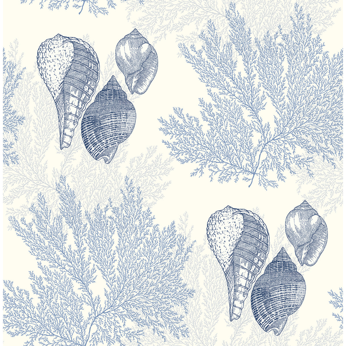 Picture of Nauset Blue Seashell Shores Wallpaper