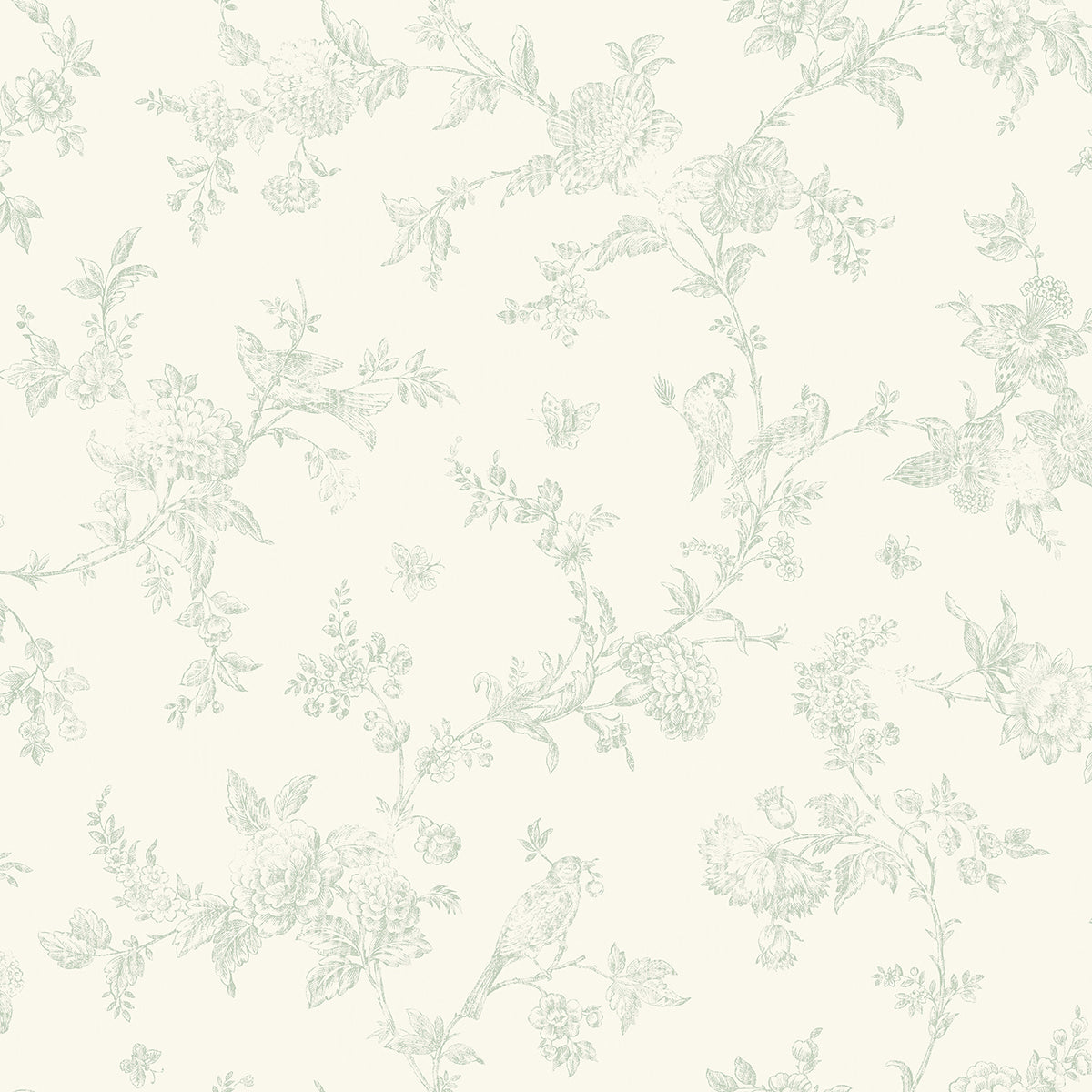 Brewster Wallcovering-French Nightingale Seafoam Trail Wallpaper