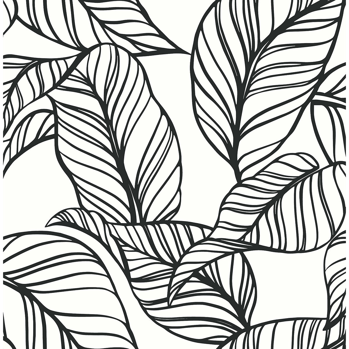 Kagan Black Large Leaf Wallpaper - Brewster Wallcovering