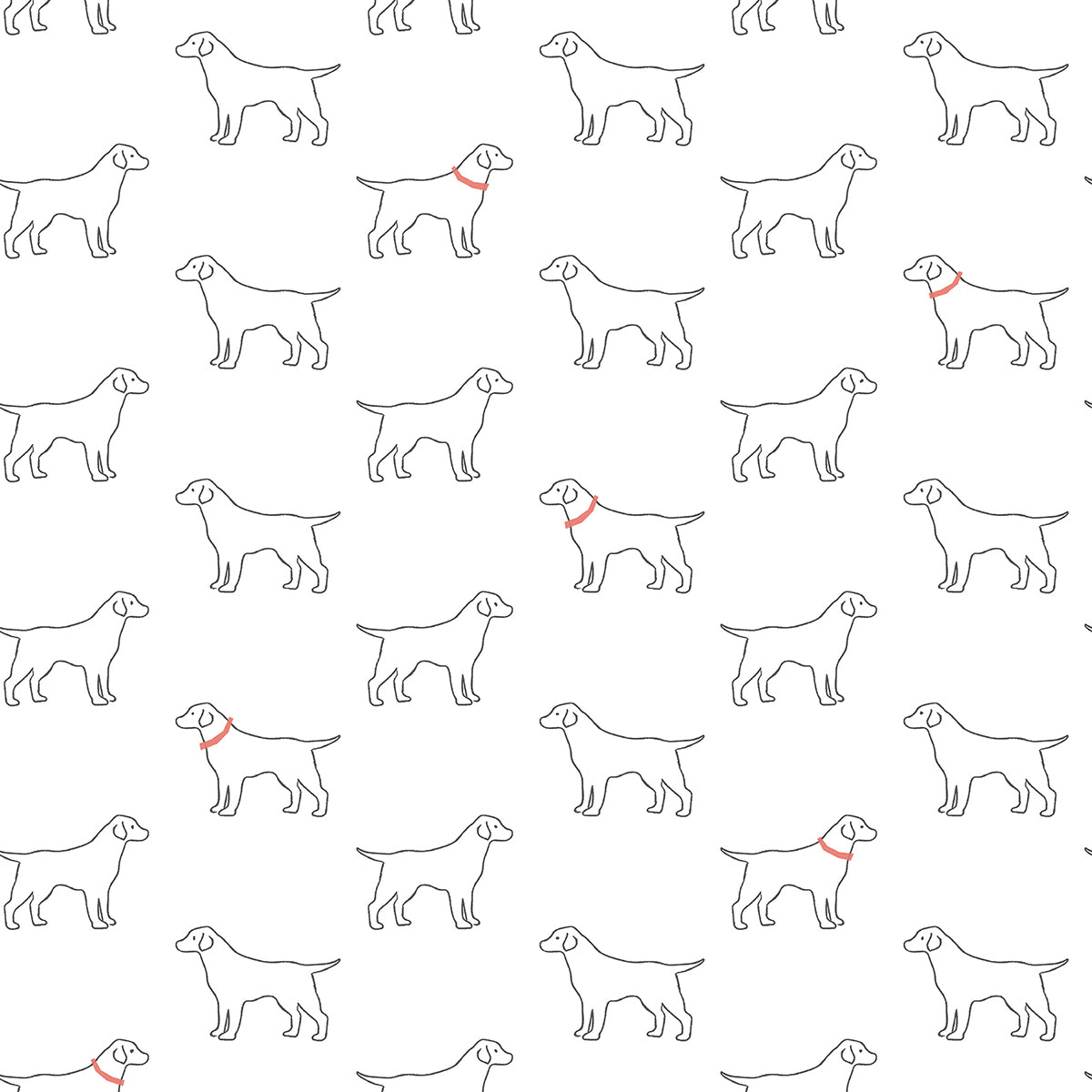 Picture of Yoop White Dog Wallpaper