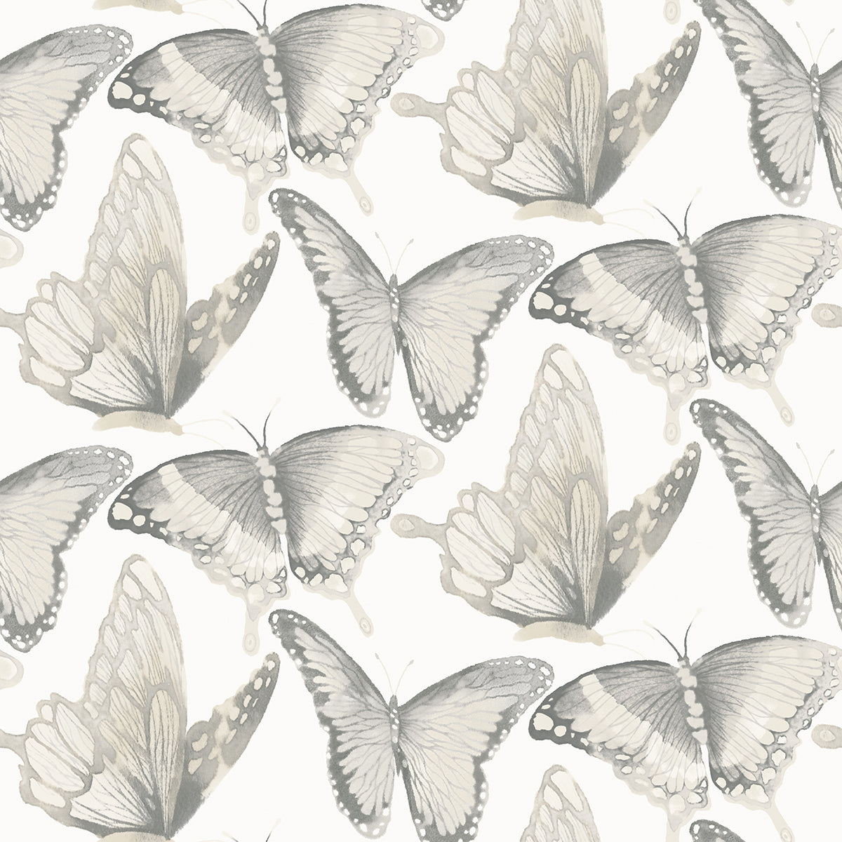 Picture of Janetta Grey Butterfly Wallpaper