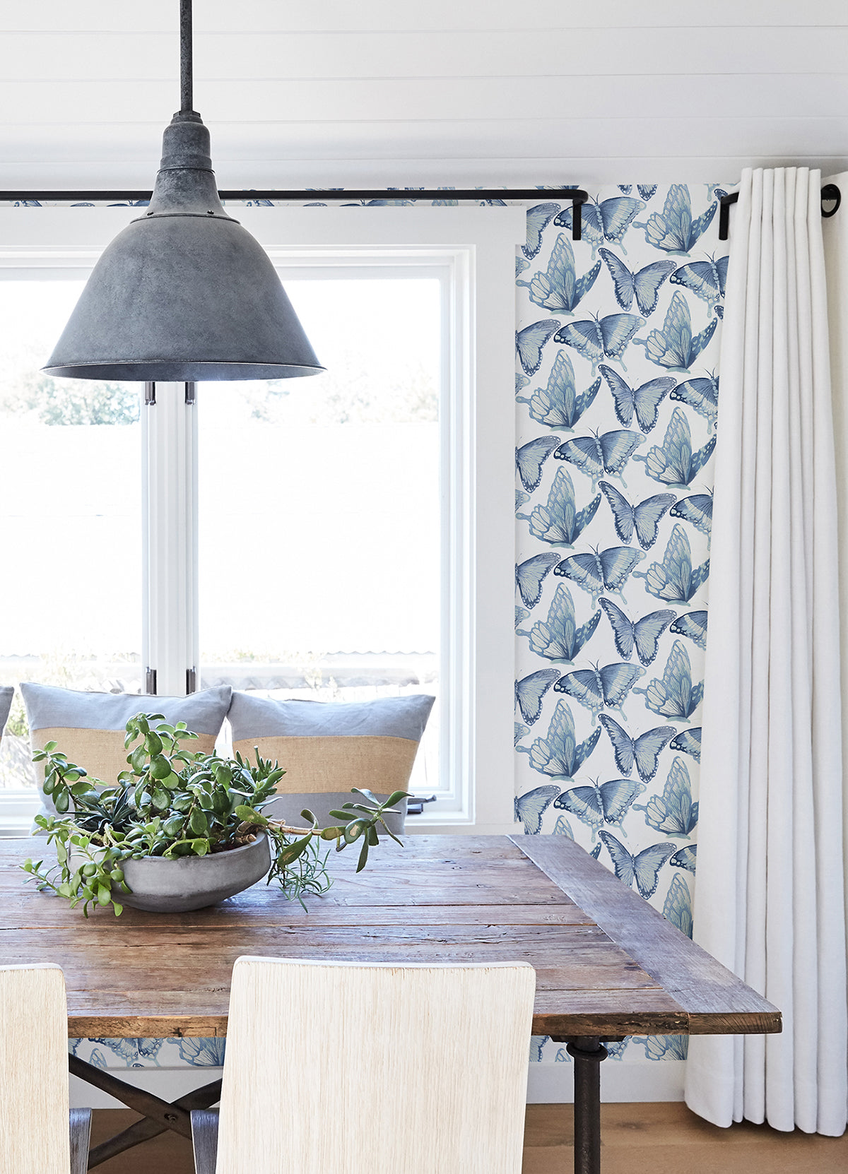 Janetta Blue Butterfly Wallpaper  | Brewster Wallcovering - The WorkRm