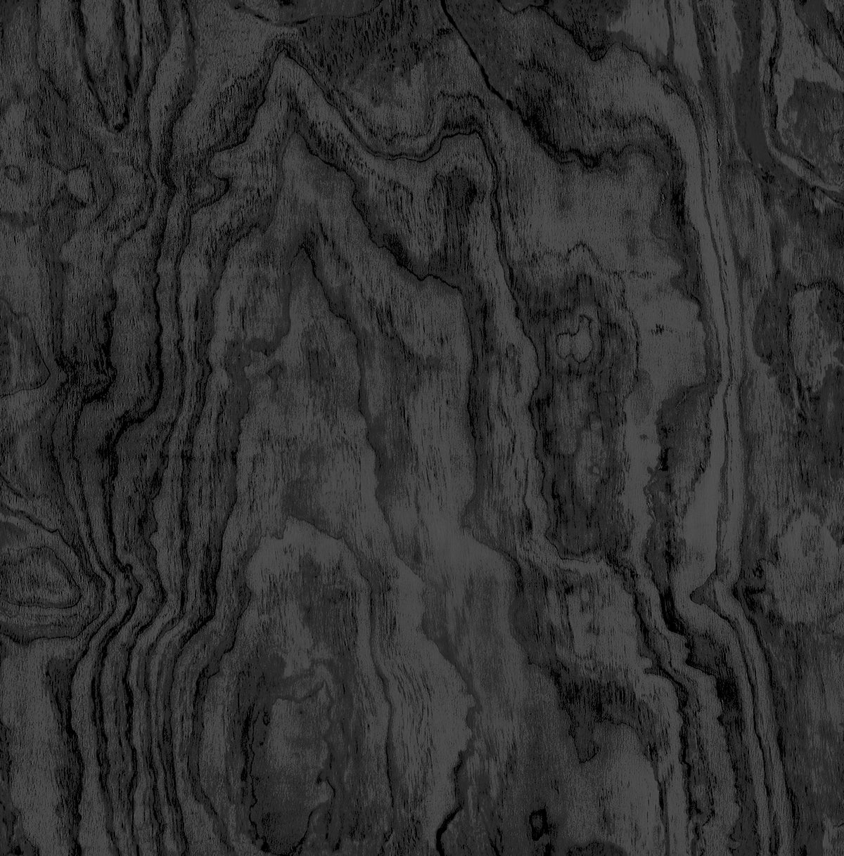 Picture of Black Sloane Wood Peel and Stick Wallpaper