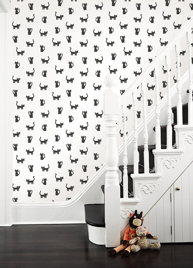Delia Black Kitty Wallpaper  | Brewster Wallcovering