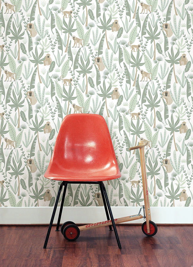 Kiki Light Green Monkeys Wallpaper  | Brewster Wallcovering - The WorkRm