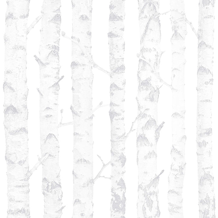 Picture of Birdie Grey Birch Wallpaper