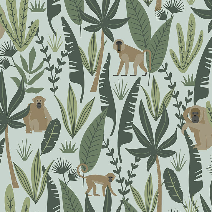 Picture of Kiki Green Monkeys Wallpaper