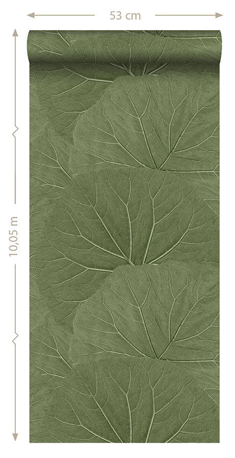 Xylem Olive Large Leaves Wallpaper  | Brewster Wallcovering - The WorkRm