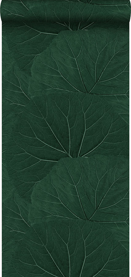 Xylem Evergreen Large Leaves Wallpaper  | Brewster Wallcovering - The WorkRm