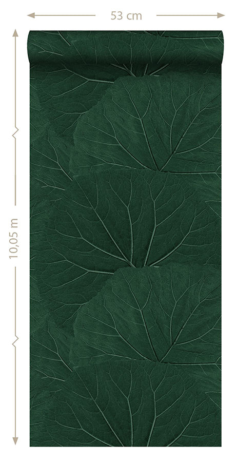 Xylem Evergreen Large Leaves Wallpaper - Brewster Wallcovering