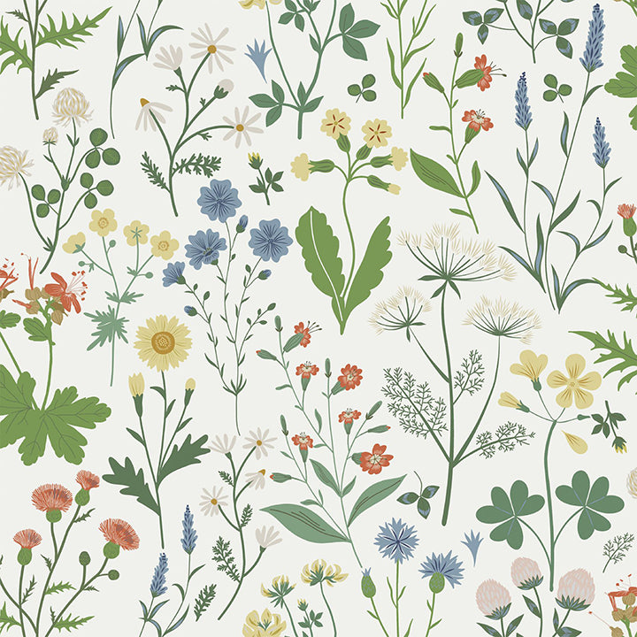 Brewster Wallcovering-Fiore Green Wildflowers Wallpaper