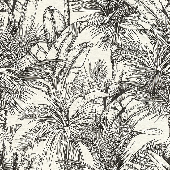Brewster Wallcovering-Serra White Palm Wallpaper