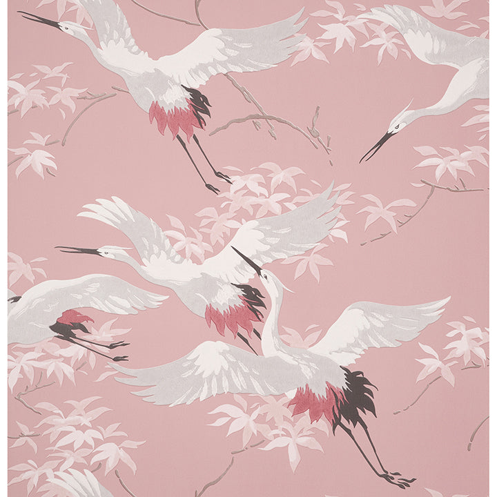 Picture of Saura Pink Cranes Wallpaper