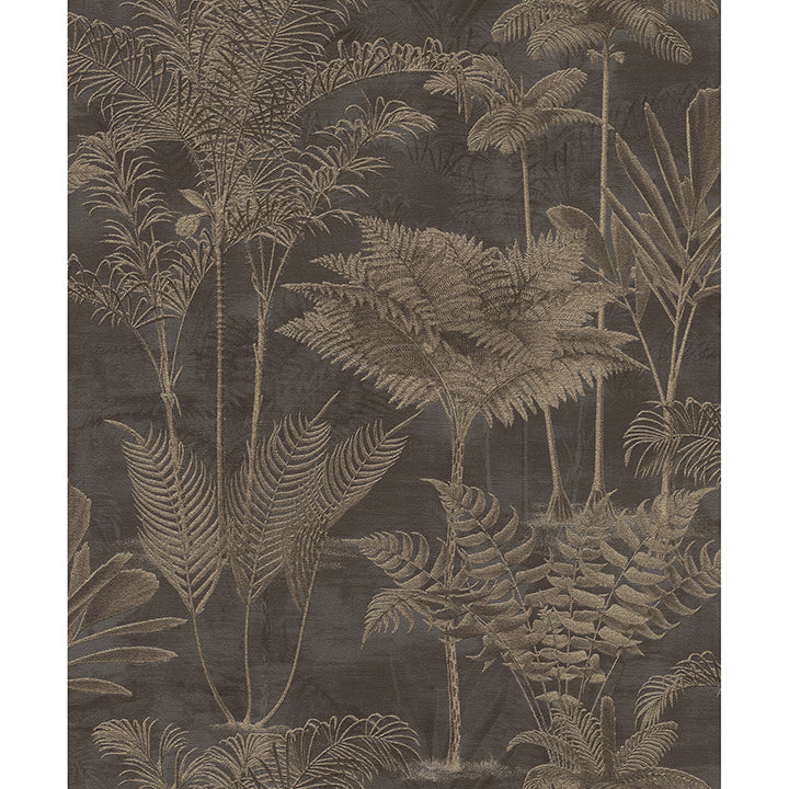 Picture of Kinabalu Black Rainforest Wallpaper