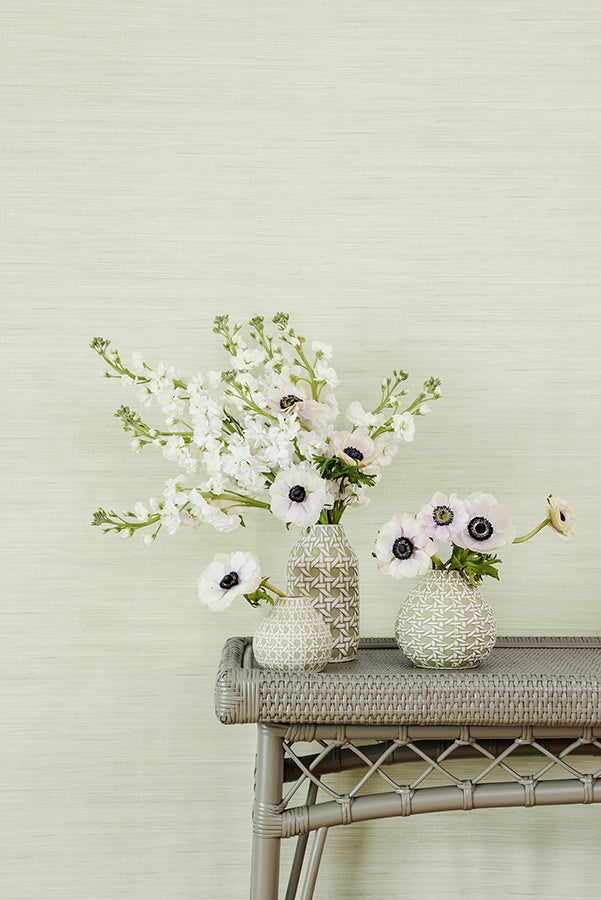 Cucumber Classic Faux Grasscloth Peel and Stick Wallpaper - Brewster Wallcovering