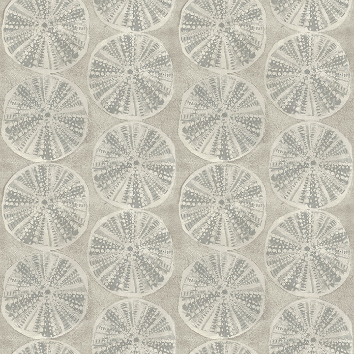 Picture of Sea Biscuit Grey Sand Dollar Wallpaper