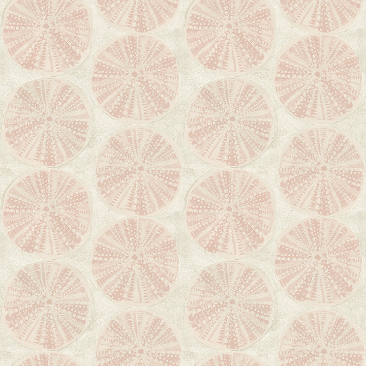 Picture of Sea Biscuit Peach Sand Dollar Wallpaper