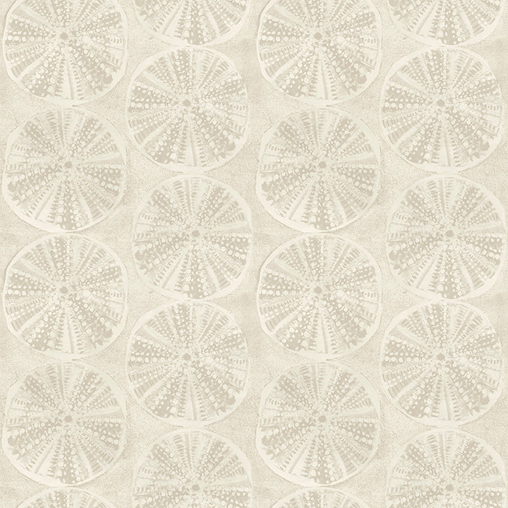 Picture of Sea Biscuit Beige Sand Dollar Wallpaper