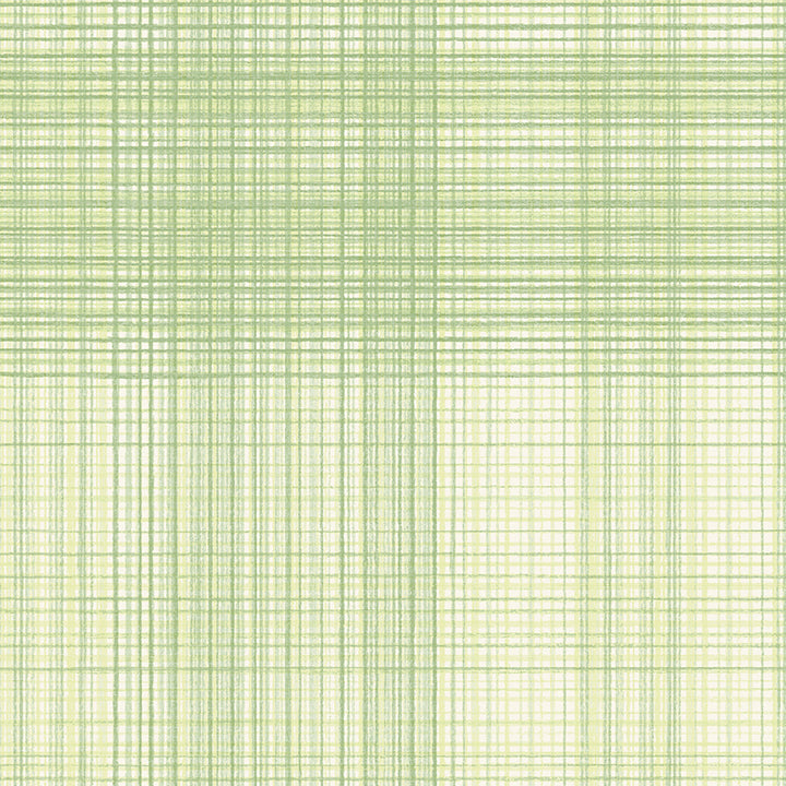 Picture of Madras Green Plaid Wallpaper