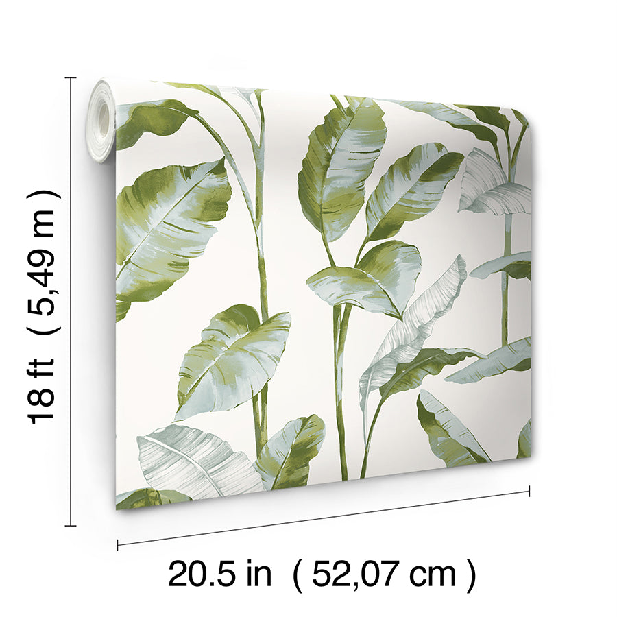 Green Banana Leaf Peel and Stick Wallpaper - Brewster Wallcovering