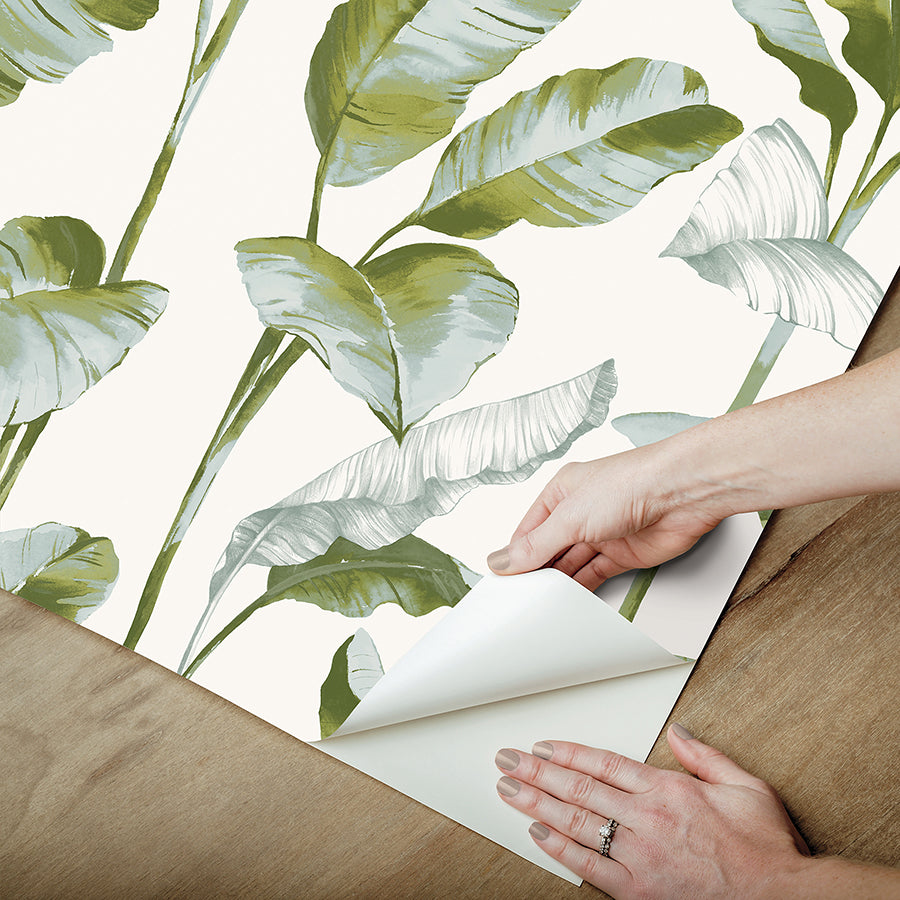 Green Banana Leaf Peel and Stick Wallpaper - Brewster Wallcovering