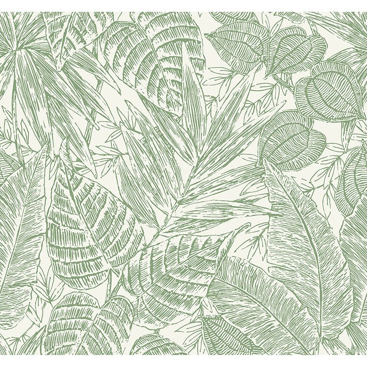 Picture of Brentwood Green Palm Leaves Wallpaper by Scott Living