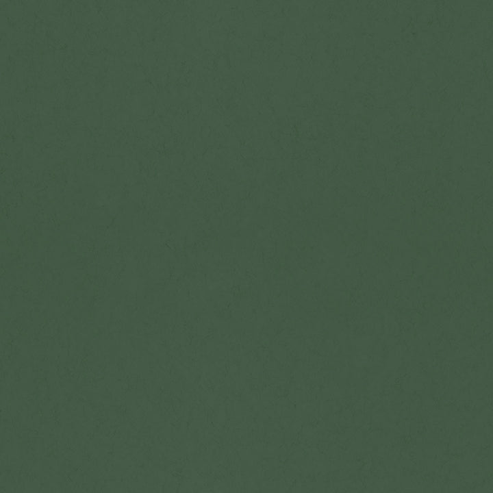 Picture of Parget Eklöv Dark Green Textured Wallpaper