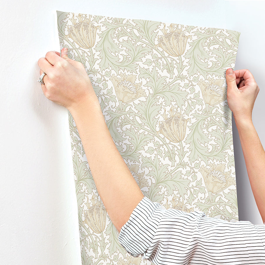 Anemone Light Green Floral Trail Wallpaper - Brewster Wallcovering