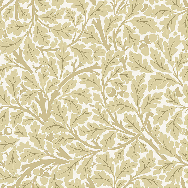 Picture of Oak Tree Light Yellow Leaf Wallpaper