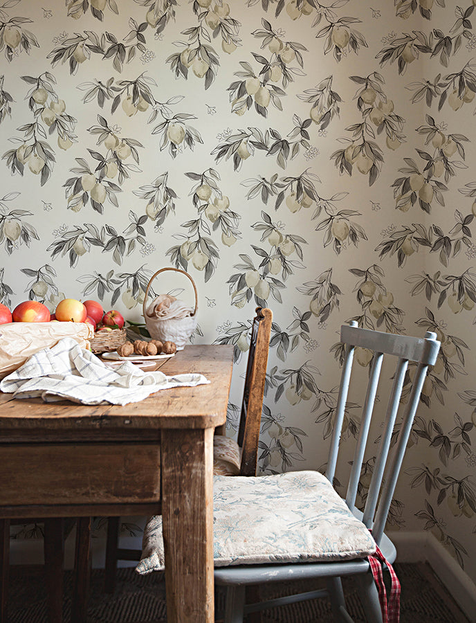 Lemonade Charcoal Citrus Wallpaper  | Brewster Wallcovering - The WorkRm