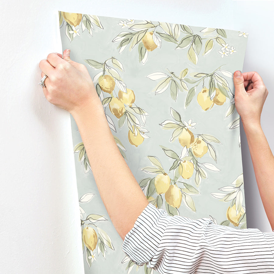 Lemonade Aqua Citrus Wallpaper - Brewster Wallcovering