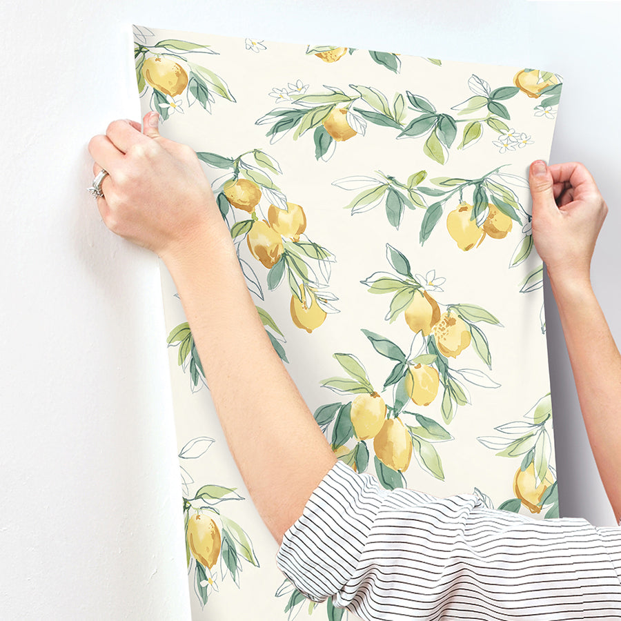 Lemonade Yellow Citrus Wallpaper  | Brewster Wallcovering