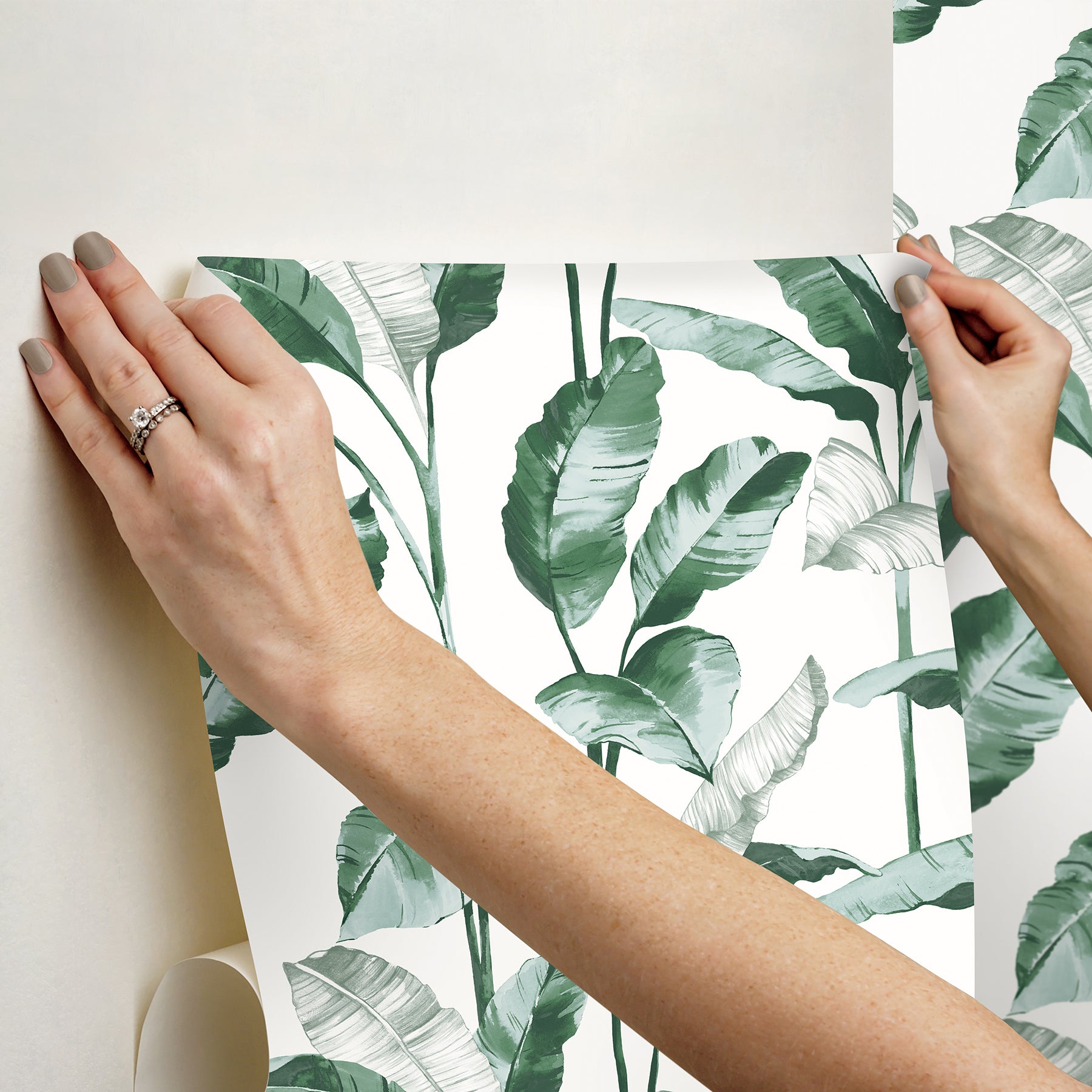 Teal Banana Leaf Peel and Stick Wallpaper - Brewster Wallcovering