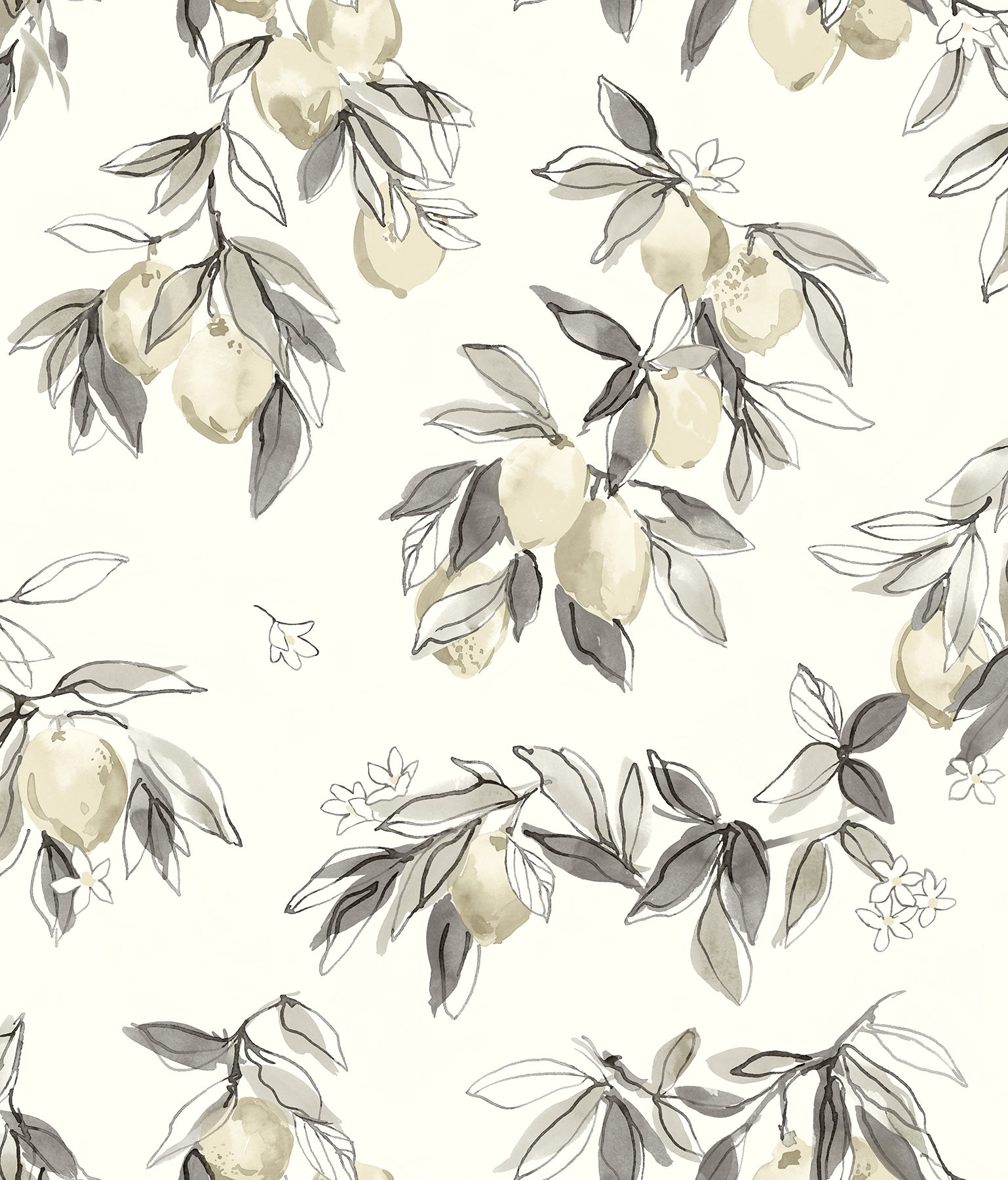 Picture of Lemonade Charcoal Citrus Wallpaper