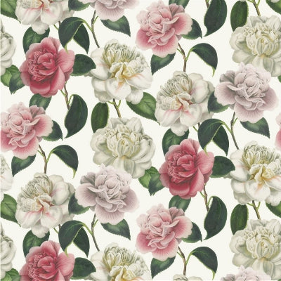 camellia-folly-john-derian-fjd6020-01